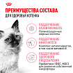 Сухой корм Royal Canin Kitten для котят до 12 месяцев 4 кг
